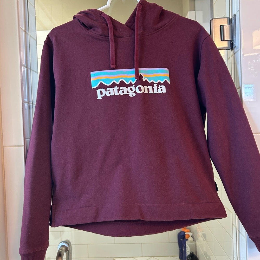 Patagonia Maroon Hoodie with Logo